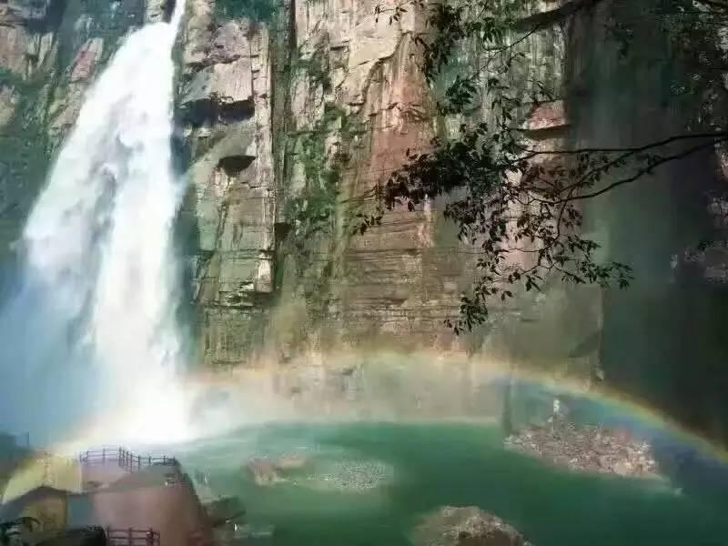 地瓜饼的家常做法游戏画面