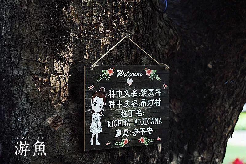 豪华轿车记忆卡