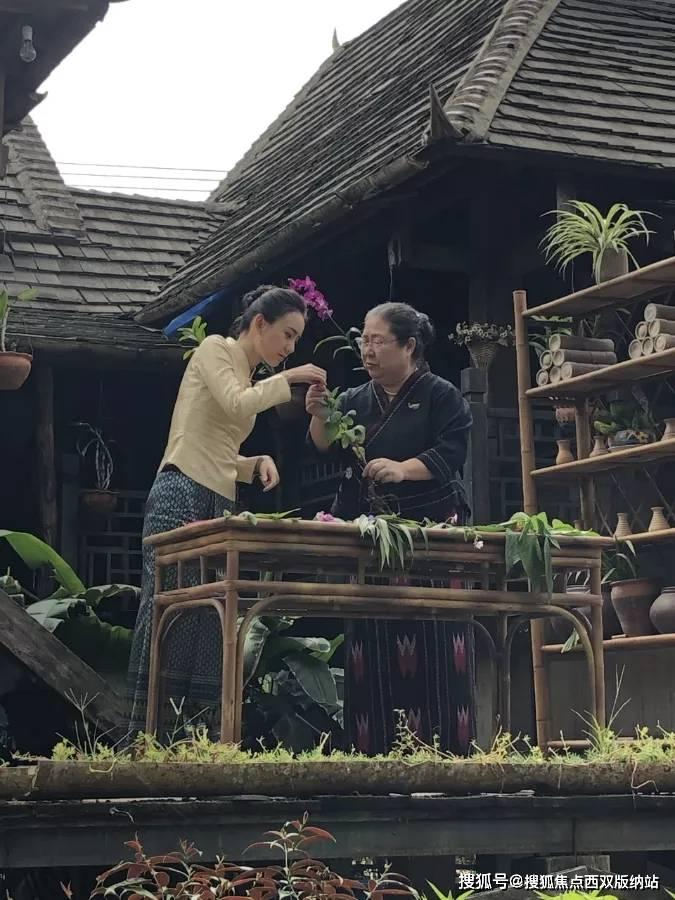 5块以下不涨价的饮料有哪些?——专业红迪网平台